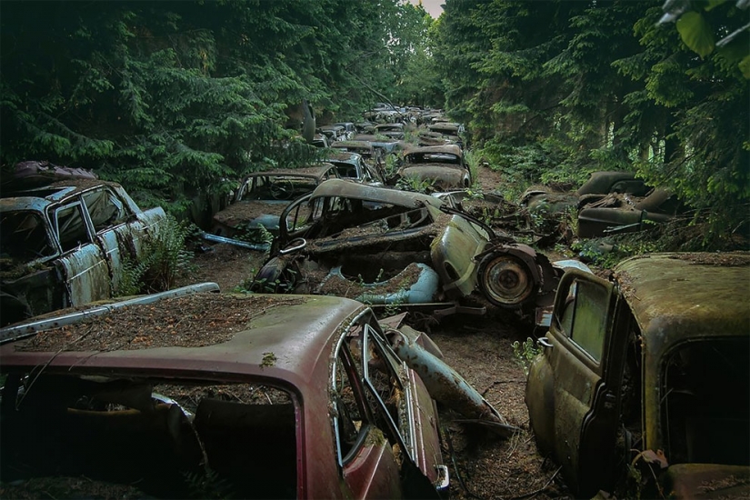 The German spent ten years searching all over Europe for cemeteries of old cars - from tractors to Mercedes