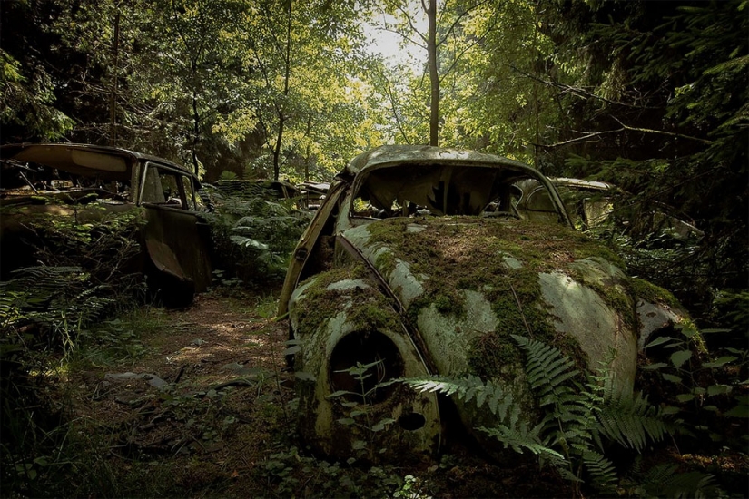 The German spent ten years searching all over Europe for cemeteries of old cars - from tractors to Mercedes
