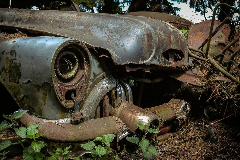The German spent ten years searching all over Europe for cemeteries of old cars - from tractors to Mercedes