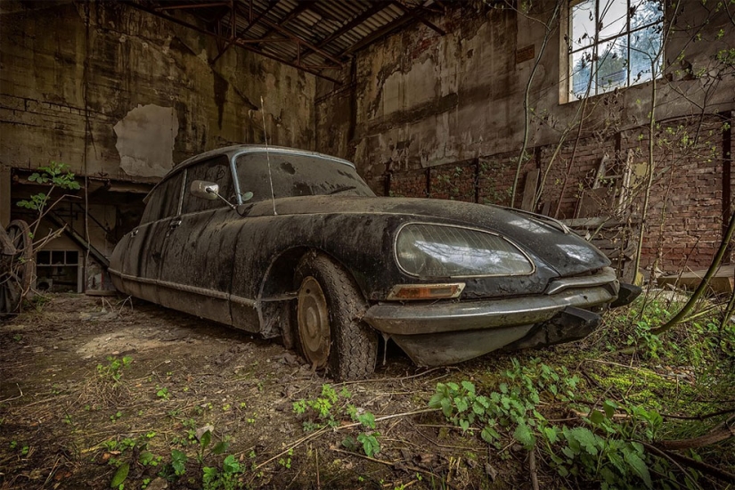 The German spent ten years searching all over Europe for cemeteries of old cars - from tractors to Mercedes