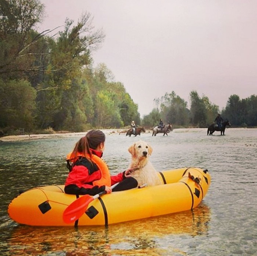 The girl has converted an old van into a motorhome and travels the world with his dog The girl has converted an old van into a motorhome and travels the world with his dog