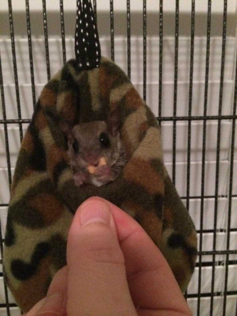 The guy decided to save this baby, not even knowing how to take care of him