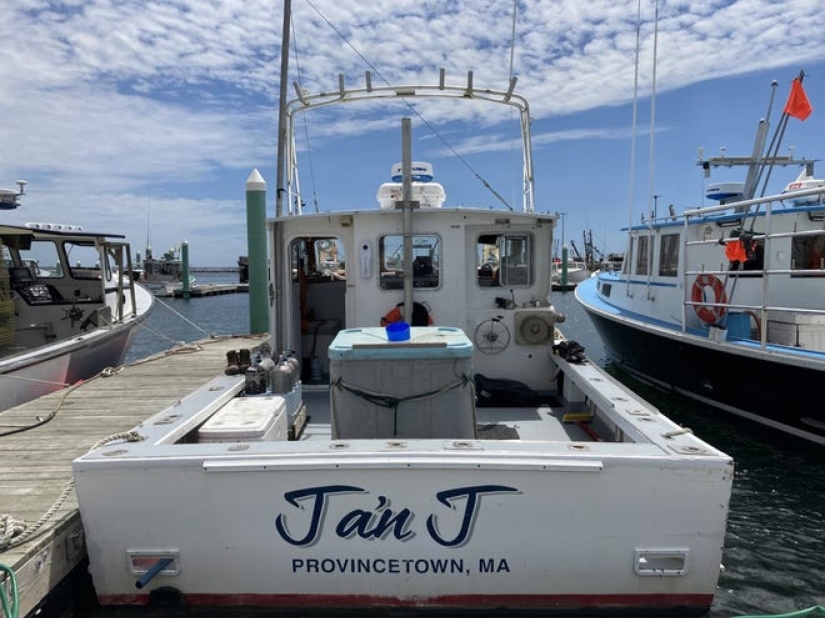 The humpback whale swallowed the diver and spat him back out The humpback whale swallowed the diver and spat him back out