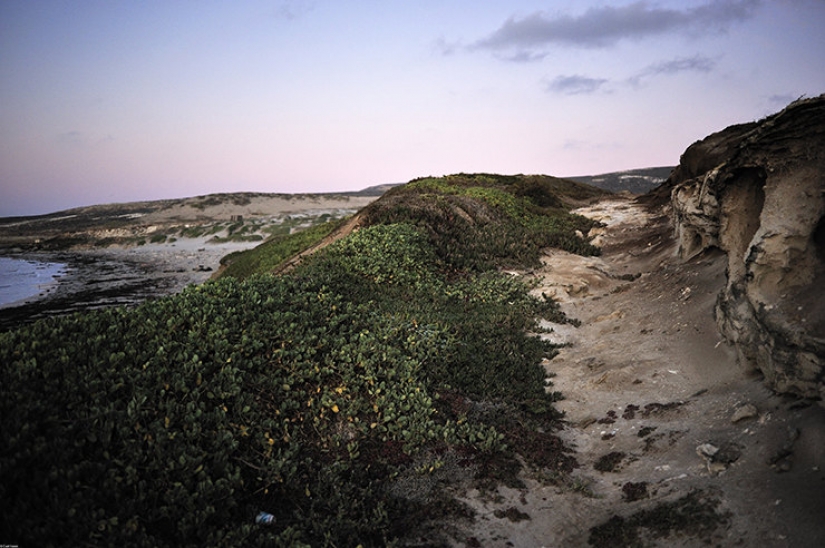 The last of the tribe: a single woman from the island of San Nicolas