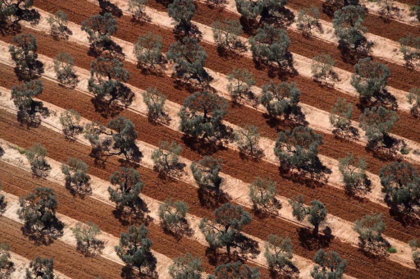 The legendary photo project "Earth seen from the sky"