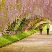 The most exciting avenues on the planet, which is certainly worth a stroll