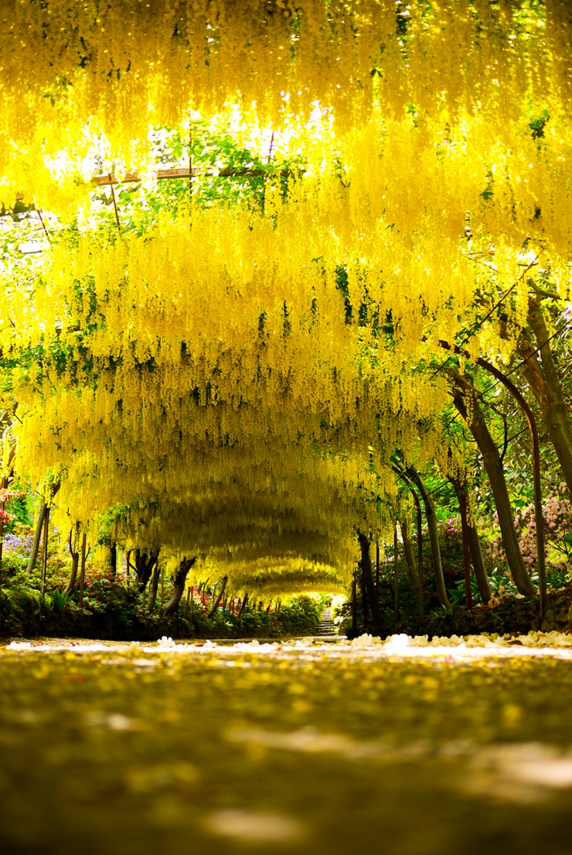 The most exciting avenues on the planet, which is certainly worth a stroll