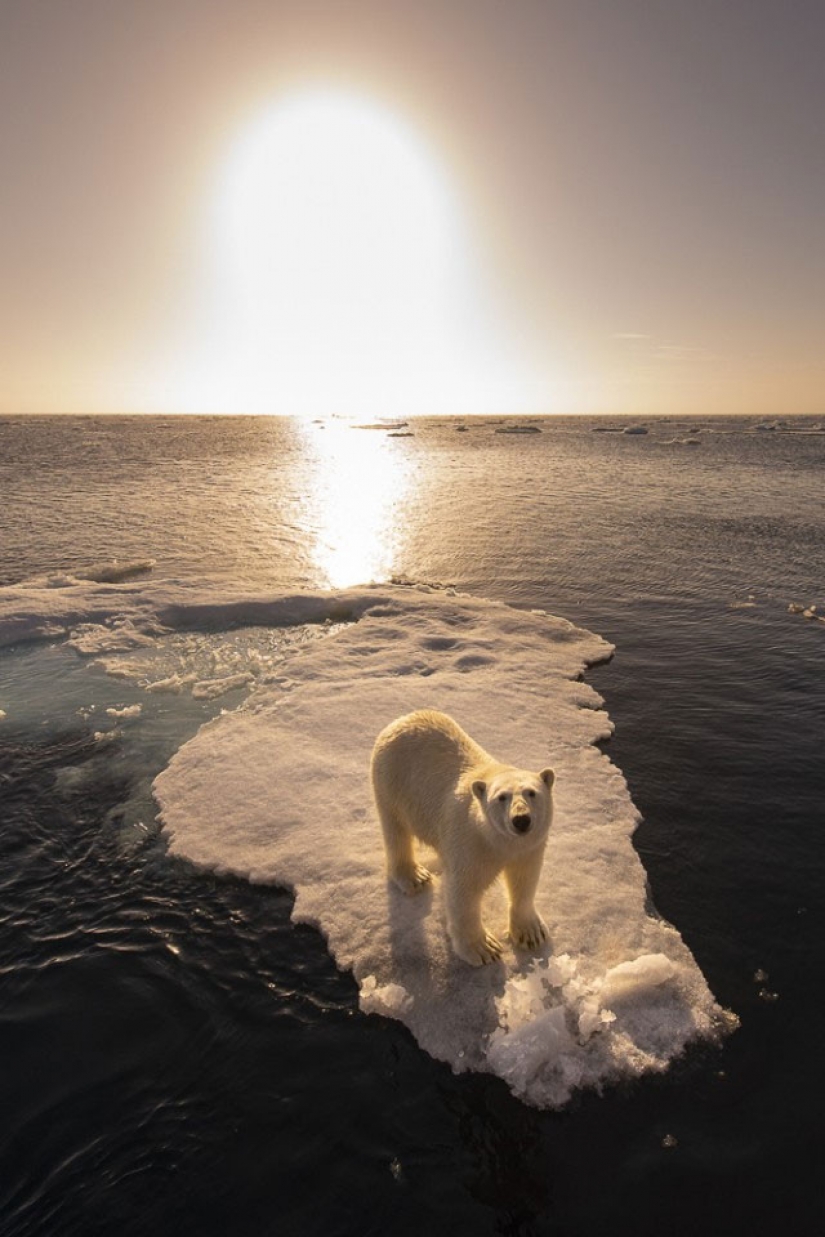 The most spectacular photos of the Fine Art Photography Awards competition