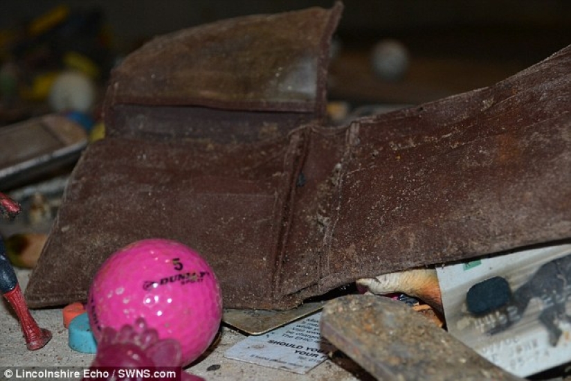 The most unexpected items that are accidentally and not completely flushed into the toilet