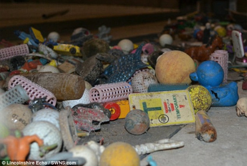 The most unexpected items that are accidentally and not completely flushed into the toilet