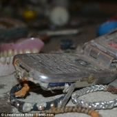 The most unexpected items that are accidentally and not completely flushed into the toilet