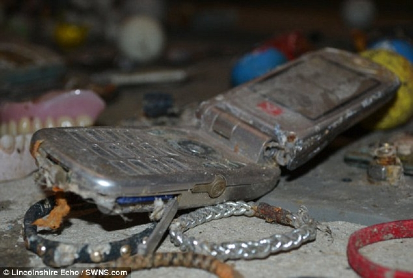 The most unexpected items that are accidentally and not completely flushed into the toilet