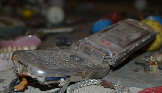 The most unexpected items that are accidentally and not completely flushed into the toilet