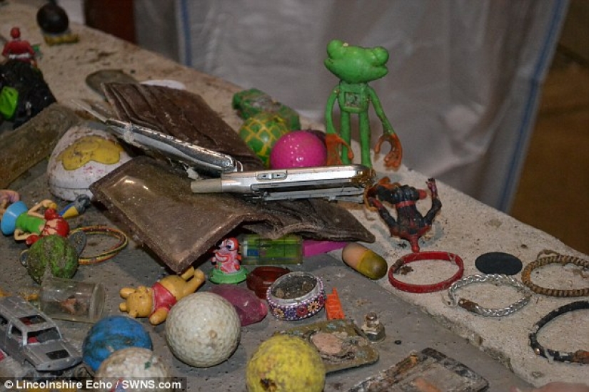 The most unexpected items that are accidentally and not completely flushed into the toilet