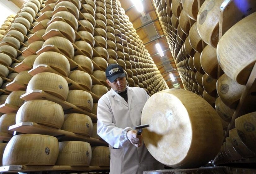 The most unusual and strange professions that you didn't even know about