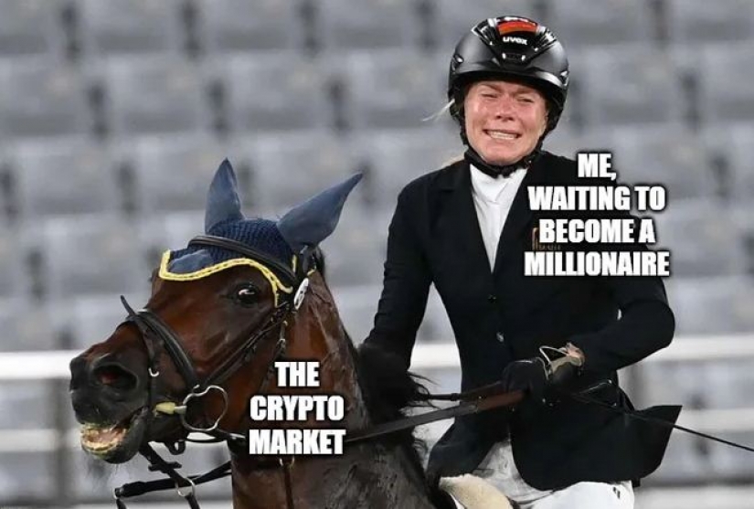 The Olympic drama with a smiling horse and a crying rider has generated a wave of memes The Olympic drama with a smiling horse and a crying rider has generated a wave of memes