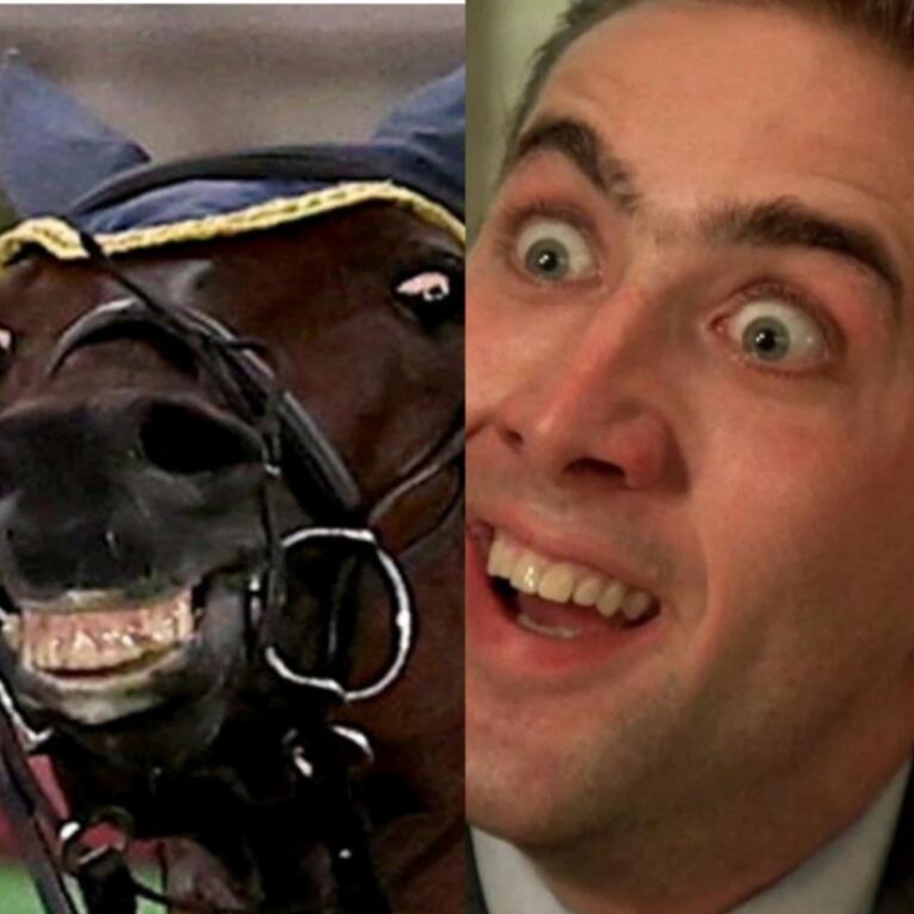 The Olympic drama with a smiling horse and a crying rider has generated a wave of memes The Olympic drama with a smiling horse and a crying rider has generated a wave of memes