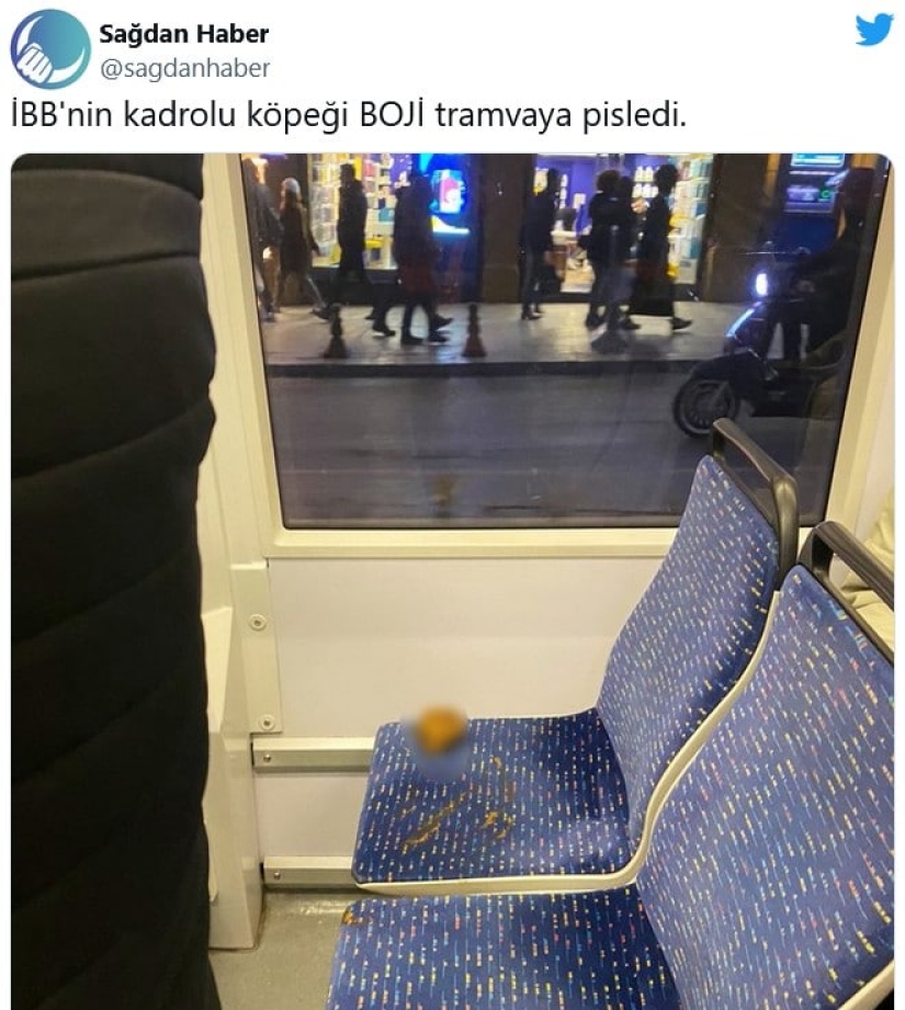 The oppositionists tried to frame the Istanbul dog Boji by throwing feces into the tram The oppositionists tried to frame the Istanbul dog Boji by throwing feces into the tram
