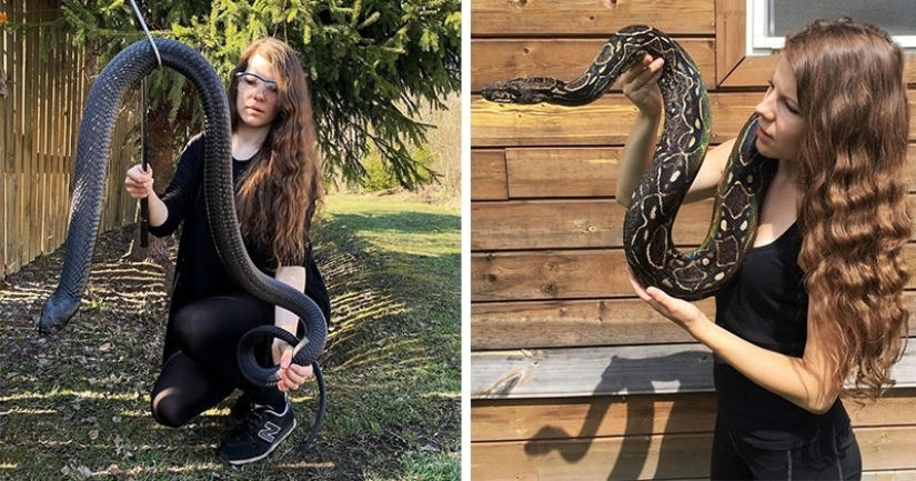The Russian woman fearlessly gave a cobra a drink from a glass and became the hero of the network The Russian woman fearlessly gave a cobra a drink from a glass and became the hero of the network