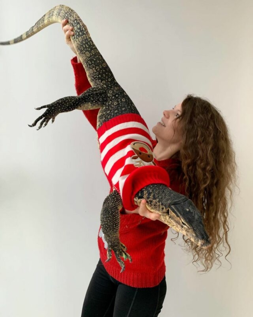 The Russian woman fearlessly gave a cobra a drink from a glass and became the hero of the network The Russian woman fearlessly gave a cobra a drink from a glass and became the hero of the network