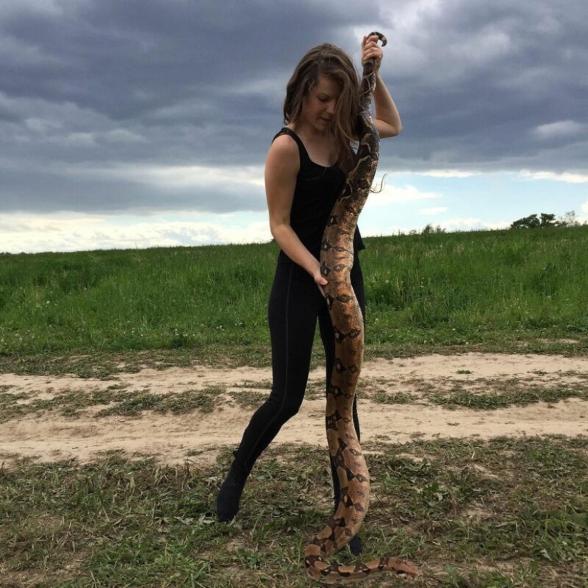 The Russian woman fearlessly gave a cobra a drink from a glass and became the hero of the network The Russian woman fearlessly gave a cobra a drink from a glass and became the hero of the network