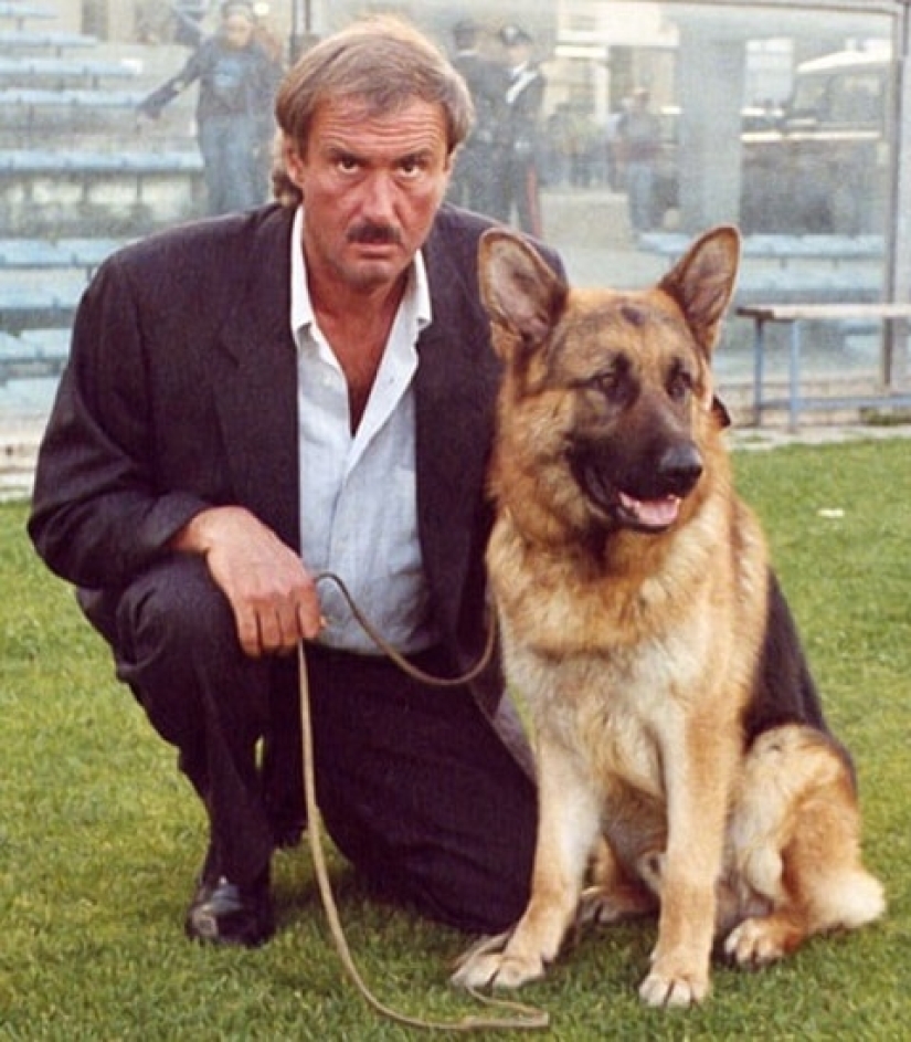 The story of Gunther the dog, who inherited the mistress's millions, turned out to be a fake The story of Gunther the dog, who inherited the mistress's millions, turned out to be a fake