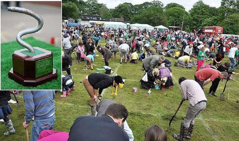 The strange sports that have taken over the world