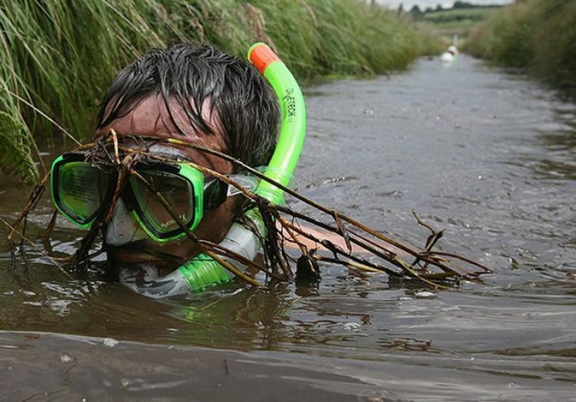 The strange sports that have taken over the world