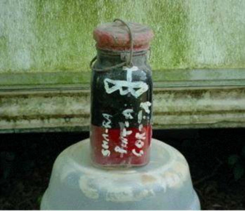 The Strangest Things Ever Sold on eBay