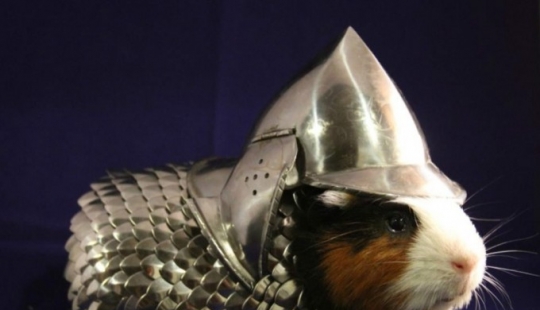 The strangest things sold or sold on eBay