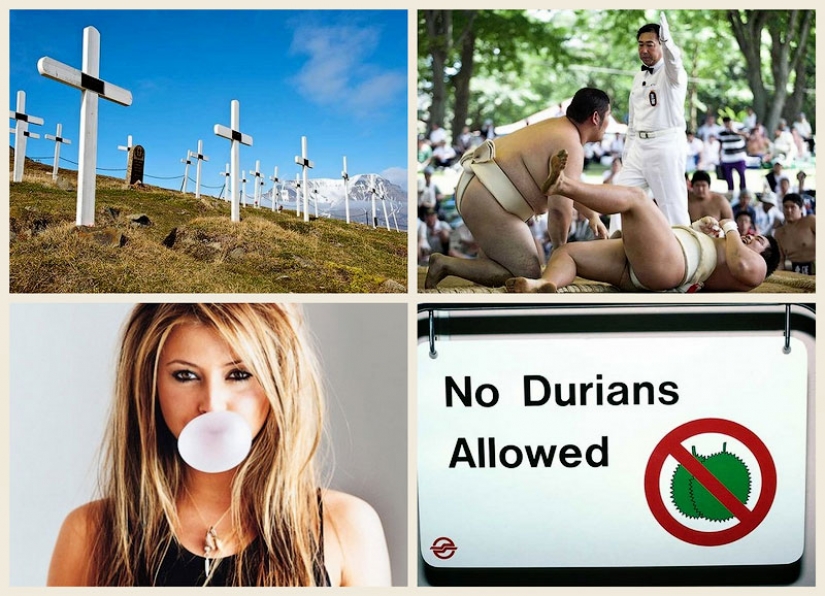 The weirdest laws in the world