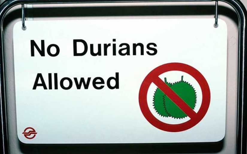 The weirdest laws in the world