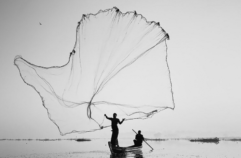 The winners of the 10th competition of mobile photography Mobile Photography Awards-2021