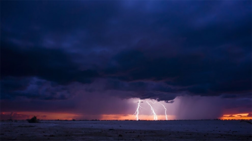 The winners of the 10th competition of mobile photography Mobile Photography Awards-2021