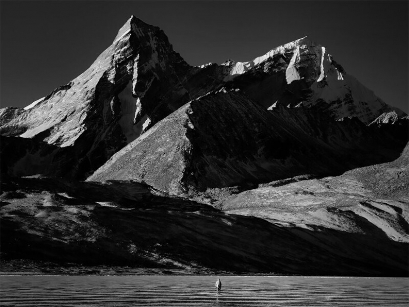 The winners of the 10th competition of mobile photography Mobile Photography Awards-2021