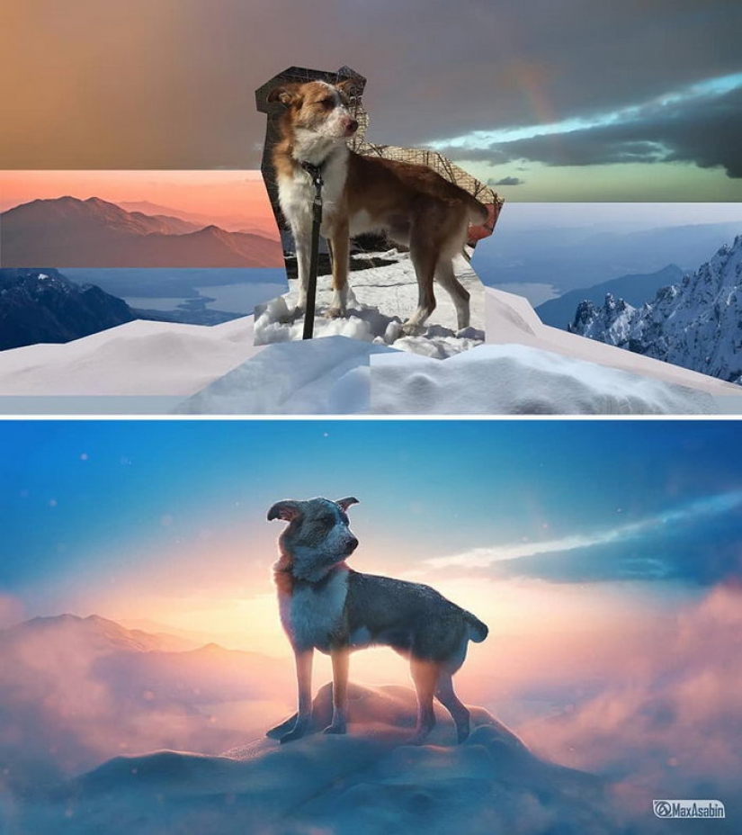 The works of the harsh Russian photoshop master will definitely amaze your imagination