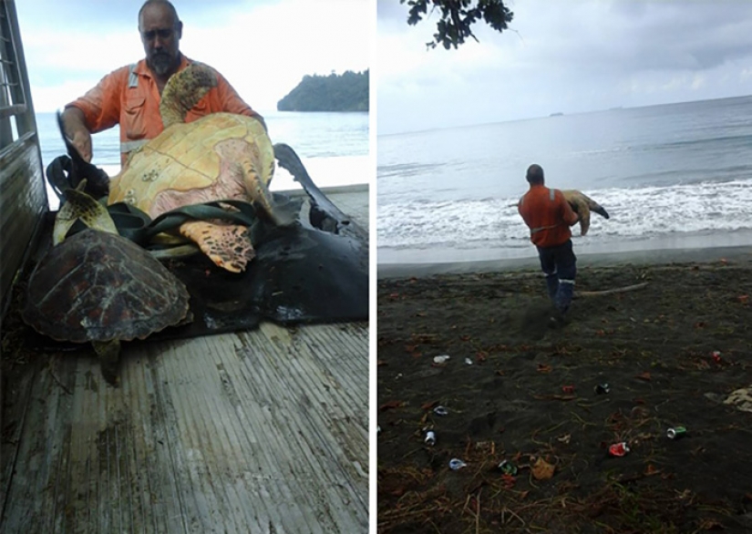 These photos will restore your faith in humanity.