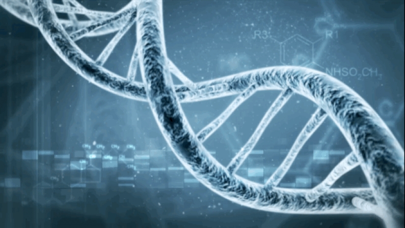 This couple successfully cloned her dog after his death This couple successfully cloned her dog after his death