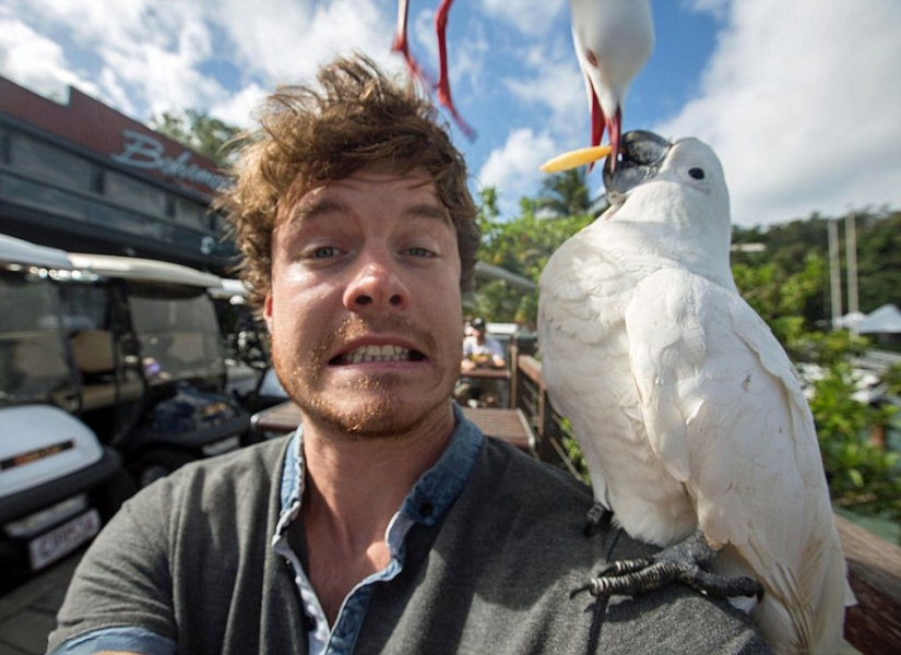 This man has mastered the art of selfies with animals to perfection.