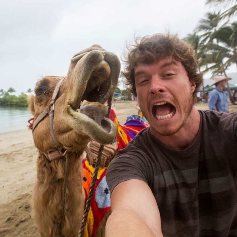 This man has mastered the art of selfies with animals to perfection.
