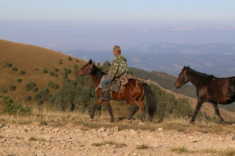 Through cows to the stars: how Caucasian astrophysics lives