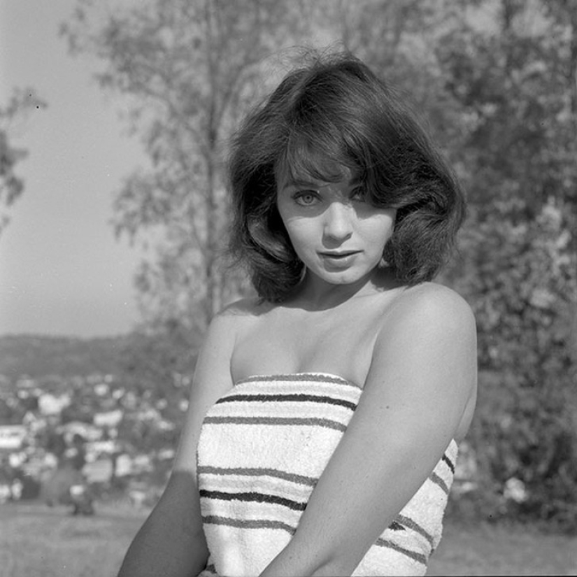 Todas las ganadoras de Miss Universo: cómo han cambiado los ideales de belleza en 60 años