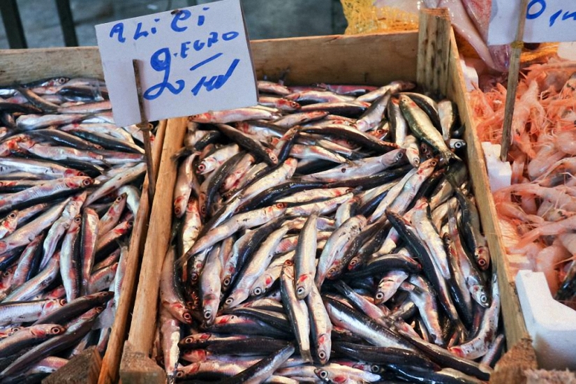 Top 10 ciudades con la mejor comida callejera