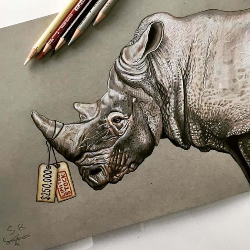 Tough but honest illustrations about how we are affected by social media Tough but honest illustrations about how we are affected by social media