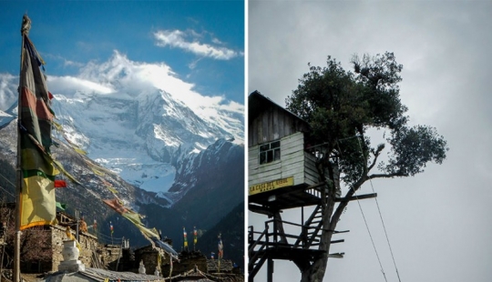 Travel as a cure for depression Travel as a cure for depression