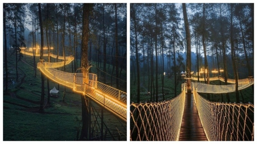 Traveling online: the most magical bridge in Indonesia Traveling online: the most magical bridge in Indonesia