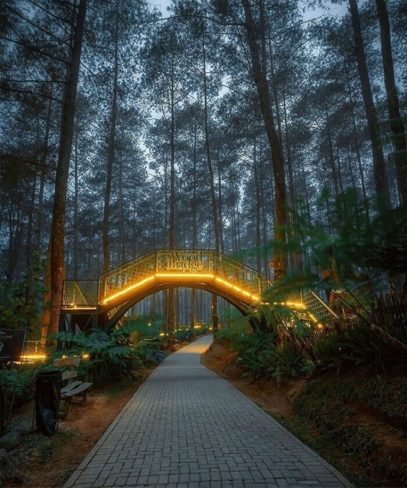 Traveling online: the most magical bridge in Indonesia Traveling online: the most magical bridge in Indonesia