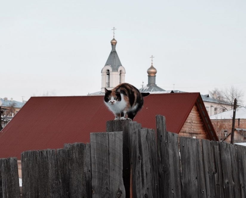 True Russia, "borrowed" Orenburg photographer Vugar Mamedzade