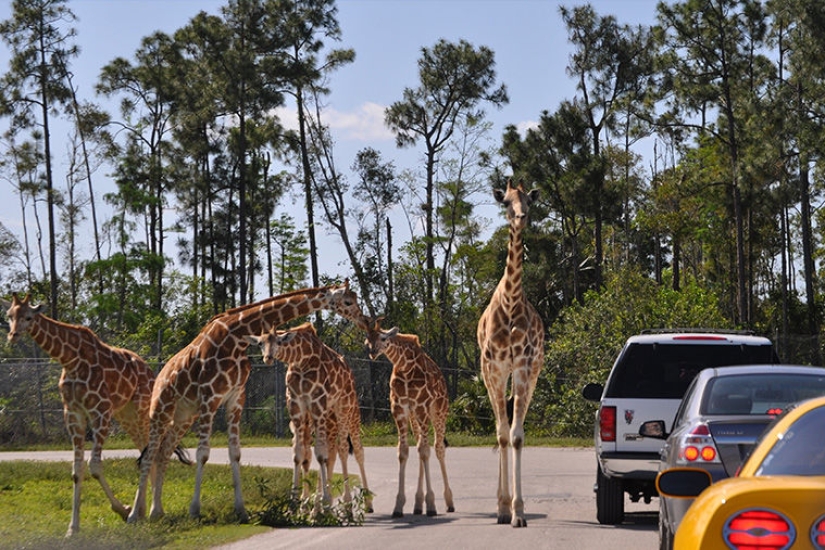 Turismo de naturaleza: Rusia vs América Turismo de naturaleza: Rusia vs América