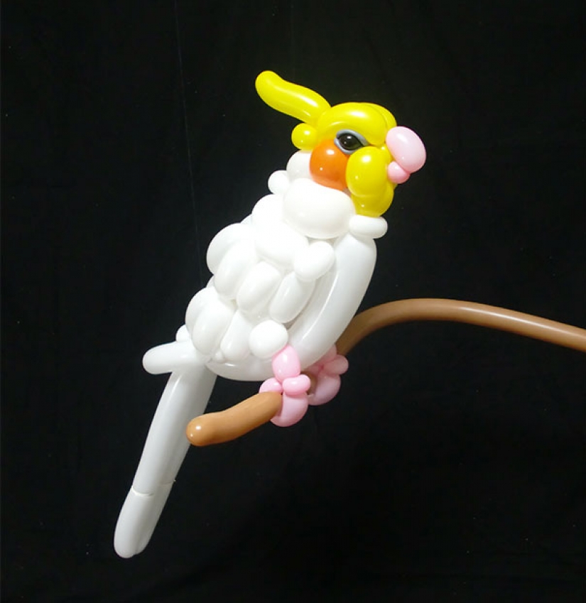 Twist, twirl, I want to cheat: Japanese creates realistic animal figures from balloons Twist, twirl, I want to cheat: Japanese creates realistic animal figures from balloons